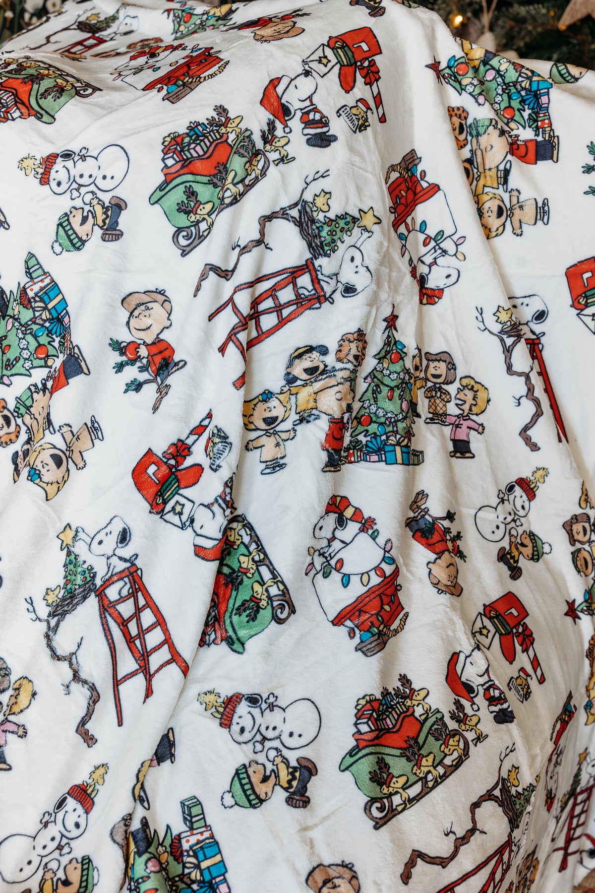 The Boy and his Dog Blanket