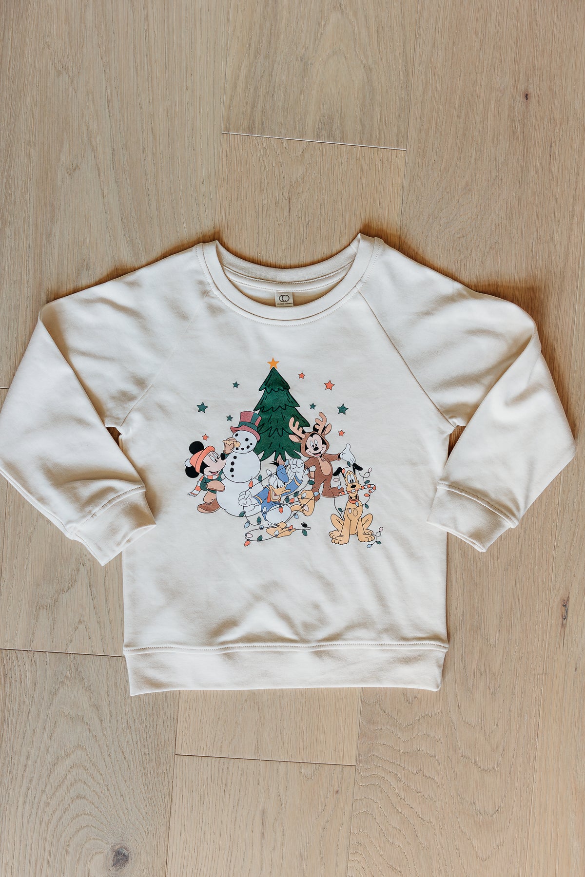 Magical Mouse Holiday Organic Cotton Sweatshirt